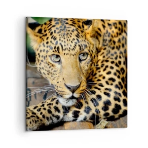 Cuadro sobre lienzo - Impresión de Imagen - No tengas miedo, vamos - 50x50 cm