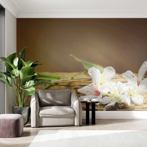 Fotomural Premium Canvas - Flores blancas sobre un fondo de madera con luz natural. - 100x70cm - Una promesa inocente - Decoración de pared moderna para salón y dormitorio ARTTOR
