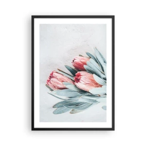 Póster en marco negro - Una sutil composición de flores de protea sobre un fondo claro. - 50x70cm - Avergonzada de su propia belleza - Decoración de pared moderna para salón y dormitorio ARTTOR