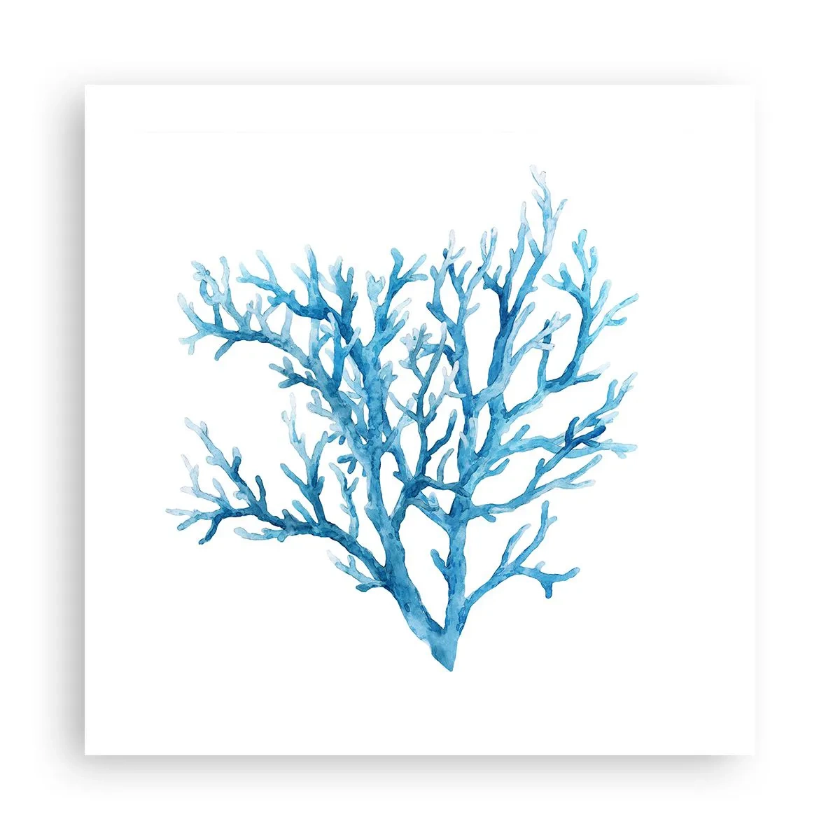 Póster - Filigrana marina - 50x50 cm