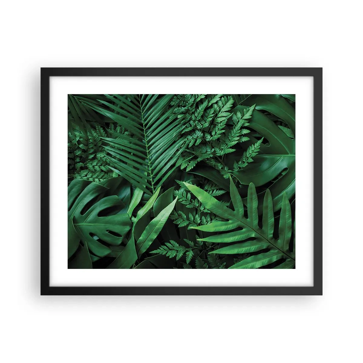 Póster en marco negro - Abrazo verde - 50x40 cm