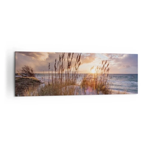 Cuadro sobre lienzo - Impresión de Imagen - Dunas con hierbas con el sol poniente como telón de fondo - 160x50cm - Adiós al sol y al viento - Decoración de pared moderna para salón y dormitorio ARTTOR