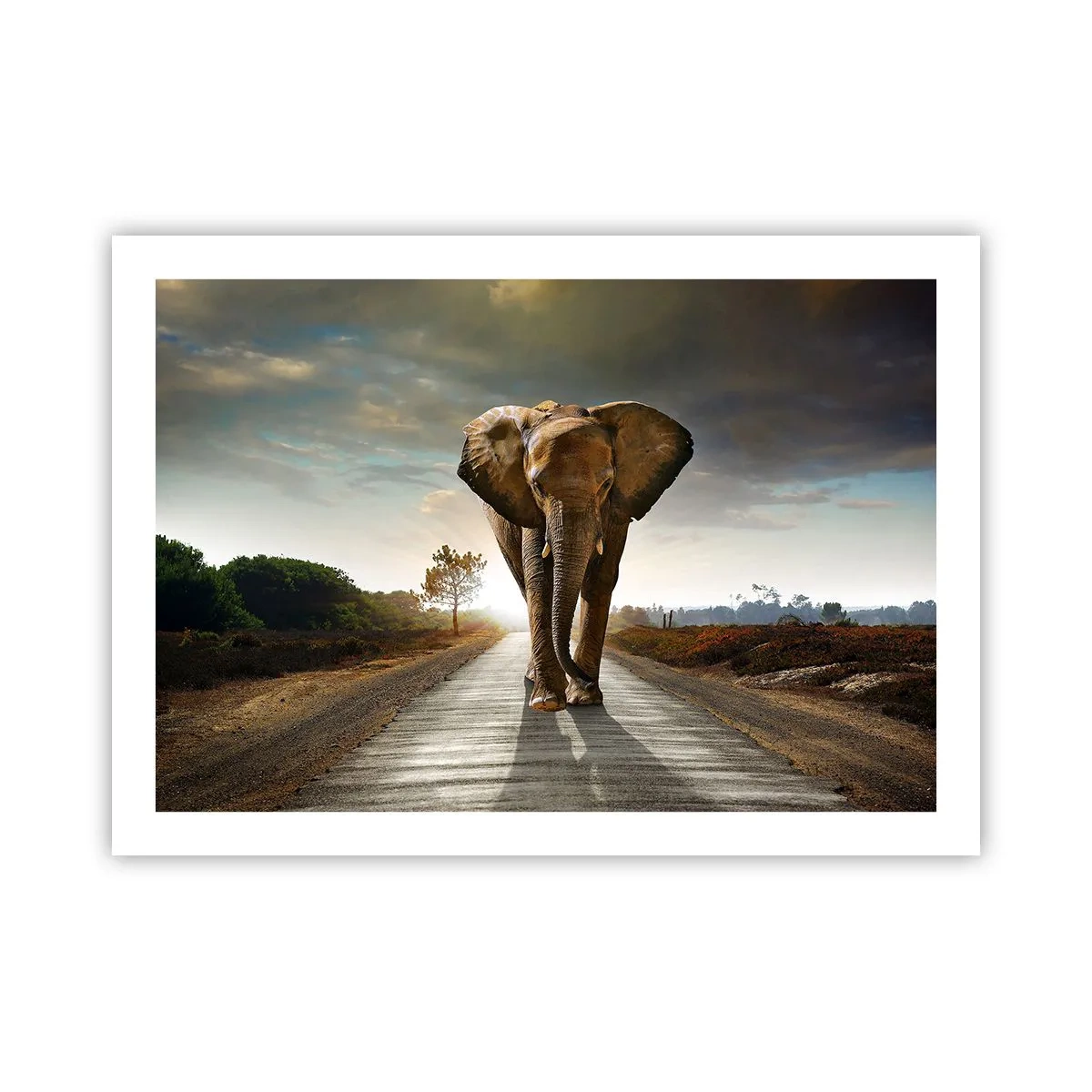 Póster - Y para nada en un almacén de porcelana - 70x50 cm