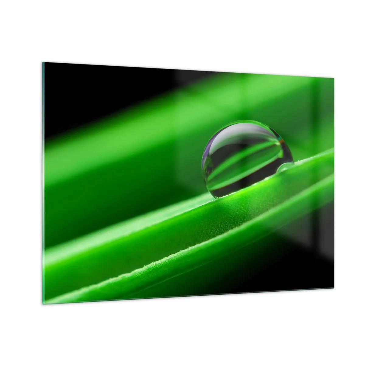 Cuadro sobre vidrio - Impresiones sobre Vidrio - Una gota de rocío sobre una hoja verde. - 100x70cm - La vida de cerca - Decoración de pared moderna para salón y dormitorio ARTTOR