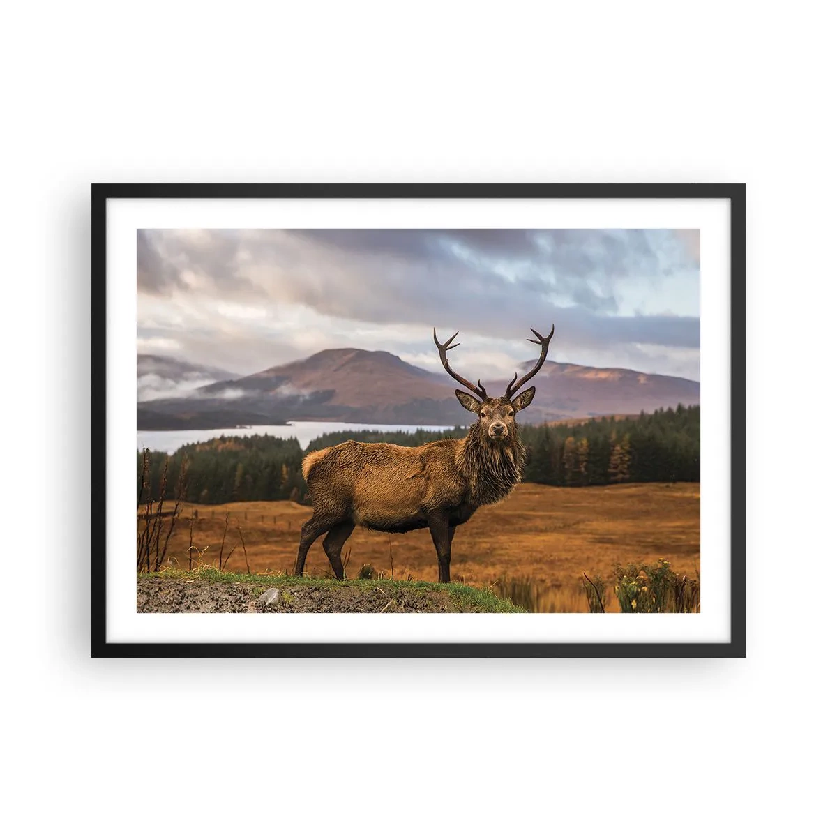 Póster en marco negro - Un ciervo con el telón de fondo de un paisaje montañoso con lagos y bosques. - 70x50cm - La majestuosidad de la naturaleza - Decoración de pared moderna para salón y dormitorio ARTTOR