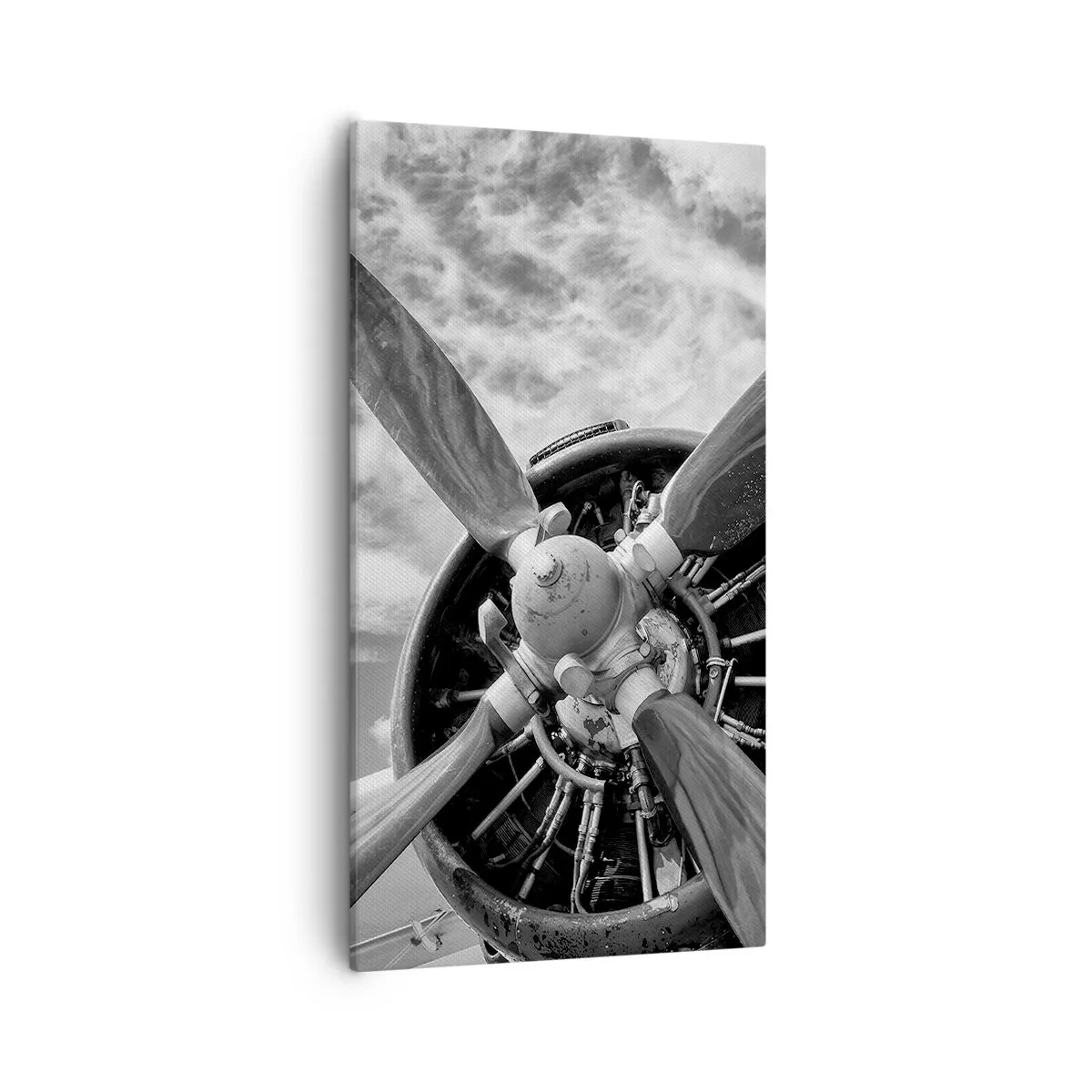 Cuadro sobre lienzo - Impresión de Imagen - Conquistador de los cielos - 55x100 cm