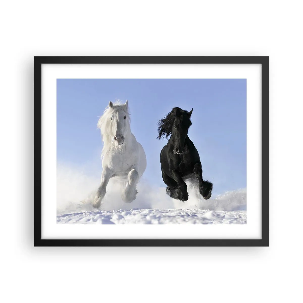 Póster en marco negro - Galope blanco y negro - 50x40 cm