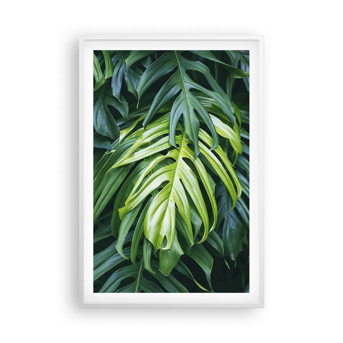 Póster en marco blanco - Sumérjase en la frescura - 61x91 cm