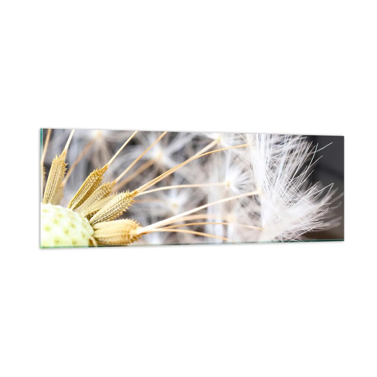 Cuadro sobre vidrio - Impresiones sobre Vidrio - Justo antes de volar - 90x30 cm