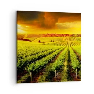 Cuadro sobre lienzo - Impresión de Imagen - Bajo el sol de Australia - 60x60 cm