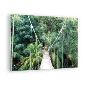 Cuadro sobre vidrio - Impresiones sobre Vidrio - Puente colgante en un bosque tropical - 70x50cm - ¡Bienvenido a la selva! - Decoración de pared moderna para salón y dormitorio ARTTOR