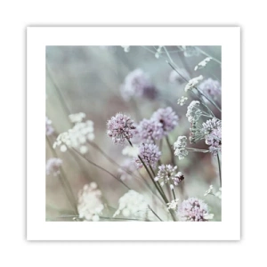 Póster - Dulces filigranas de hierbas - 40x40 cm