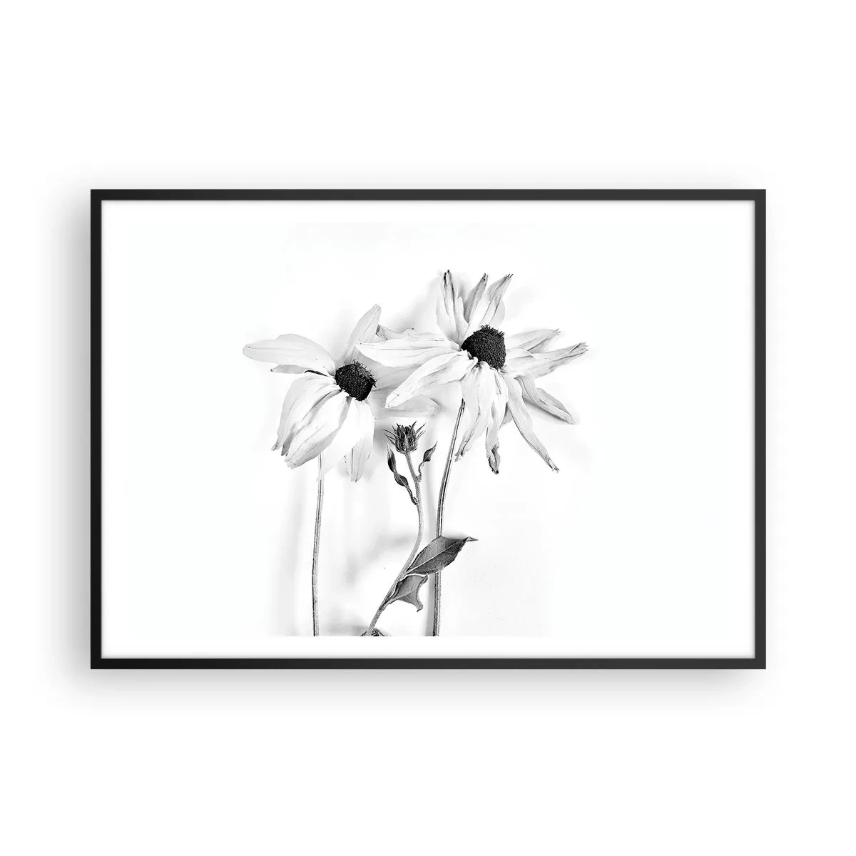 Póster en marco negro - Flores en blanco y negro con una composición sutil. - 100x70cm - Nadie quiere estar solo - Decoración de pared moderna para salón y dormitorio ARTTOR