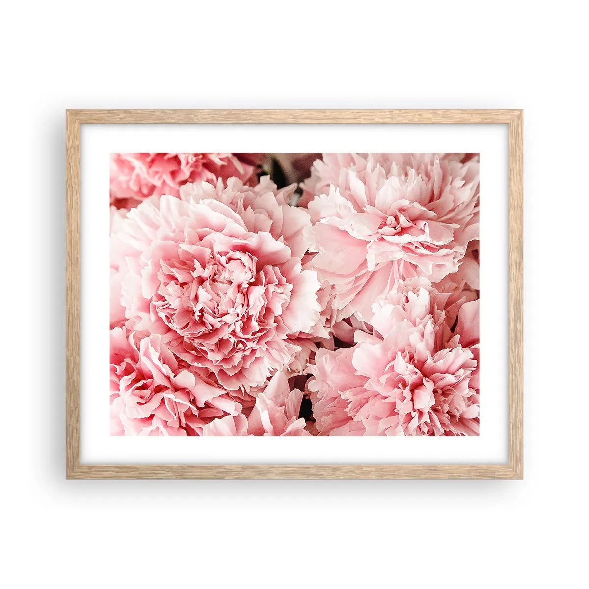 Póster en marco roble claro - Sueño rosa - 50x40 cm