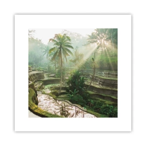 Póster - Crecer bajo el sol - 30x30 cm