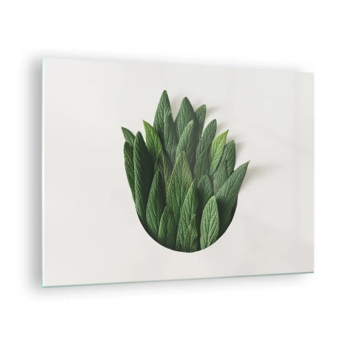 Cuadro sobre vidrio - Impresiones sobre Vidrio - Hojas verdes dispuestas en forma de jarrón sobre un fondo blanco. - 70x50cm - Curiosidad desenfrenada - Decoración de pared moderna para salón y dormitorio ARTTOR