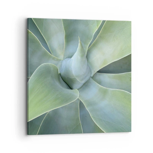 Cuadro sobre lienzo - Impresión de Imagen - El nacimiento del verde - 70x70 cm