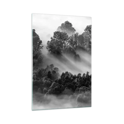 Cuadro sobre vidrio - Impresiones sobre Vidrio - Paisaje forestal en blanco y negro en la niebla matutina - 70x100cm - Levantarse del sueño - Decoración de pared moderna para salón y dormitorio ARTTOR