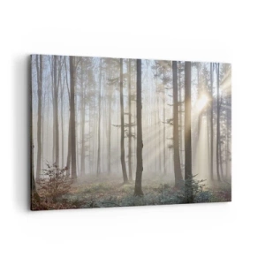 Cuadro sobre lienzo - Impresión de Imagen - Un bosque en medio de una ligera niebla con rayos de sol brillando a través de los árboles. - 100x70cm - La niebla también está despierta - Decoración de pared moderna para salón y dormitorio ARTTOR