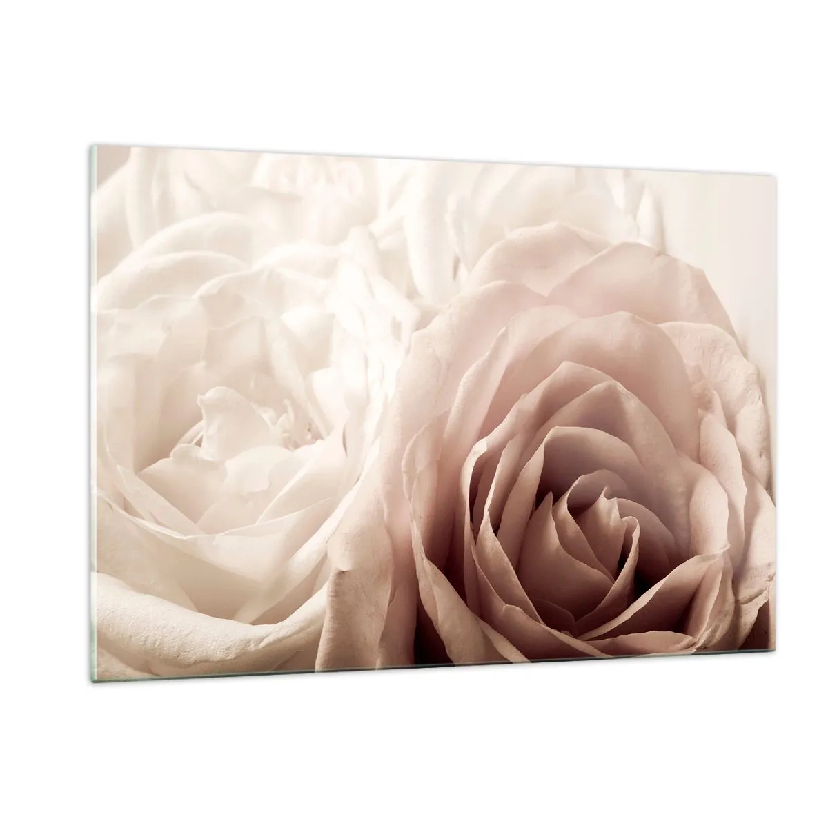 Cuadro sobre vidrio - Impresiones sobre Vidrio - Delicadas rosas claras en un primer plano romántico. - 120x80cm - En el corazón de una rosa - Decoración de pared moderna para salón y dormitorio ARTTOR