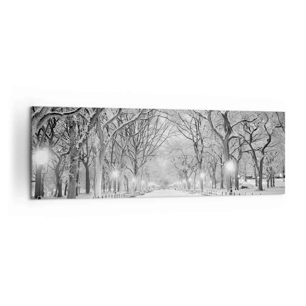 Cuadro sobre lienzo - Impresión de Imagen - Un callejón invernal con árboles cubiertos de nieve en monocromo. - 160x50cm - Cuatro estaciones - invierno - Decoración de pared moderna para salón y dormitorio ARTTOR