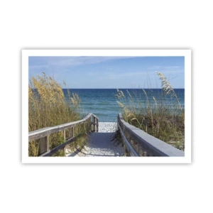 Póster - En el sol, en el viento - 91x61 cm