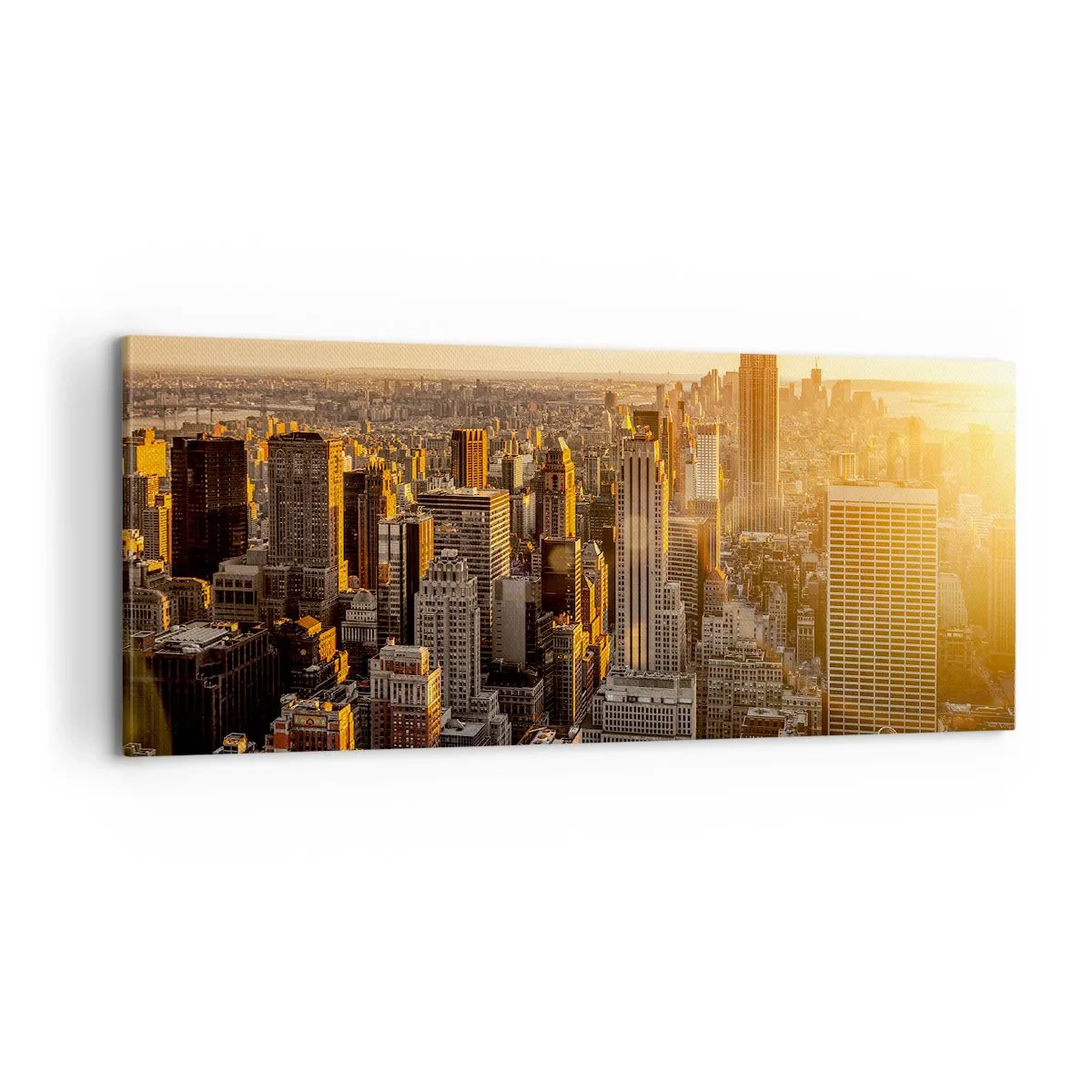 Cuadro sobre lienzo - Impresión de Imagen - Creciendo al sol - 100x40 cm