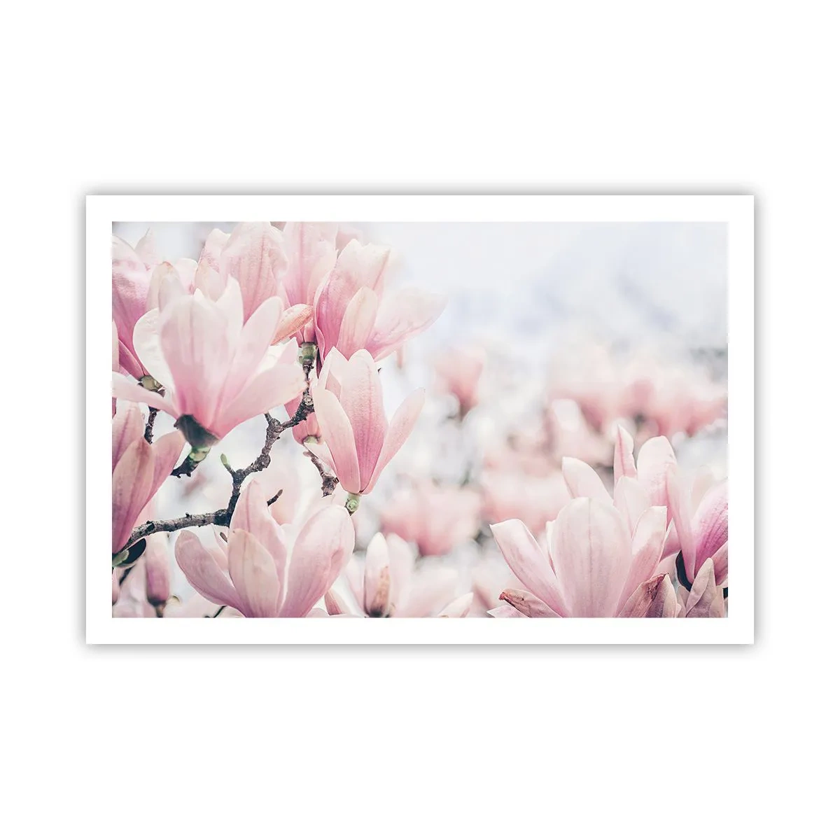 Póster - La perfección de la sutileza - 91x61 cm