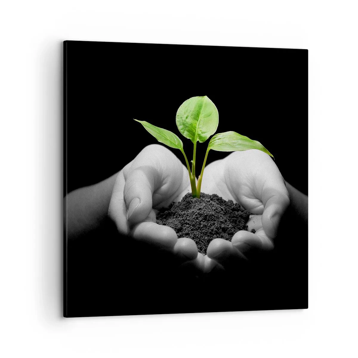 Cuadro sobre lienzo - Impresión de Imagen - Amo la naturaleza, la protejo - 50x50 cm