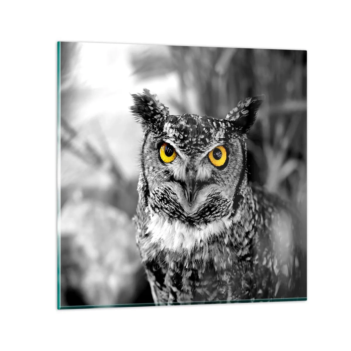 Cuadro sobre vidrio - Impresiones sobre Vidrio - Nada se puede ocultar - 40x40 cm