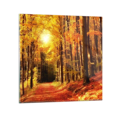 Cuadro sobre vidrio - Impresiones sobre Vidrio - Un otoño dorado en una carretera forestal - 60x60 cm