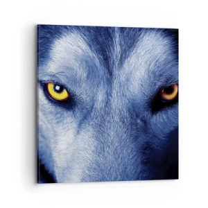 Cuadro sobre lienzo - Impresión de Imagen - La mirada hipnótica - 70x70 cm