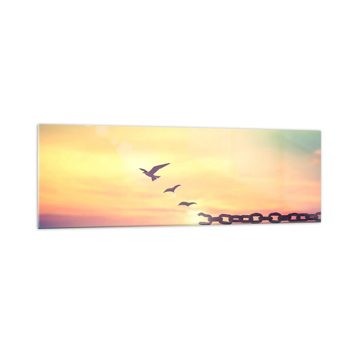 Cuadro sobre vidrio - Impresiones sobre Vidrio - Símbolo de libertad con pájaros y una cadena rota. - 160x50cm - Victoria de la libertad - Decoración de pared moderna para salón y dormitorio ARTTOR