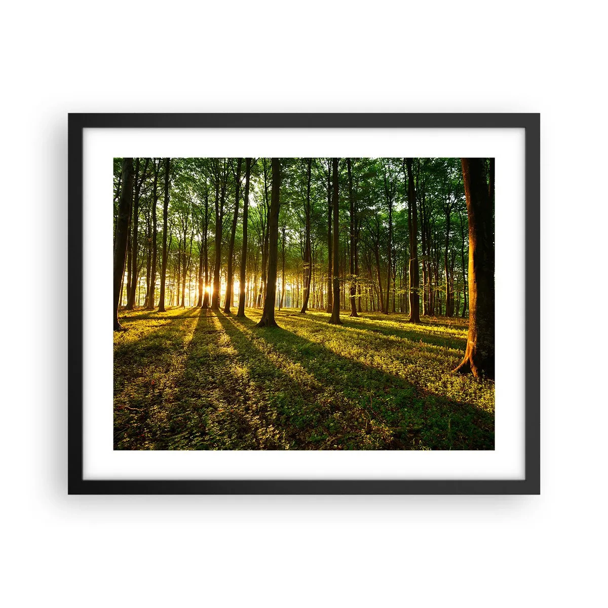 Póster en marco negro - Una fotografía de todos los manantiales - 50x40 cm