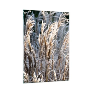 Cuadro sobre vidrio - Impresiones sobre Vidrio - Hierbas congeladas bajo el sol invernal - 50x70cm - Campos y campos - Decoración de pared moderna para salón y dormitorio ARTTOR