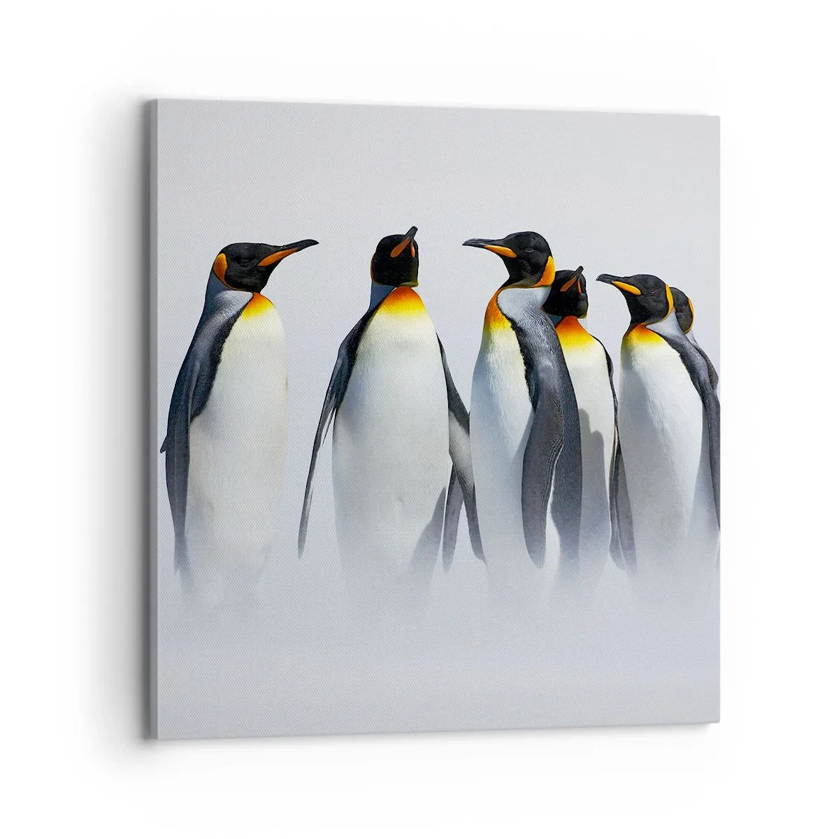 Cuadro sobre lienzo - Impresión de Imagen - Reunión en traje de noche - 70x70 cm