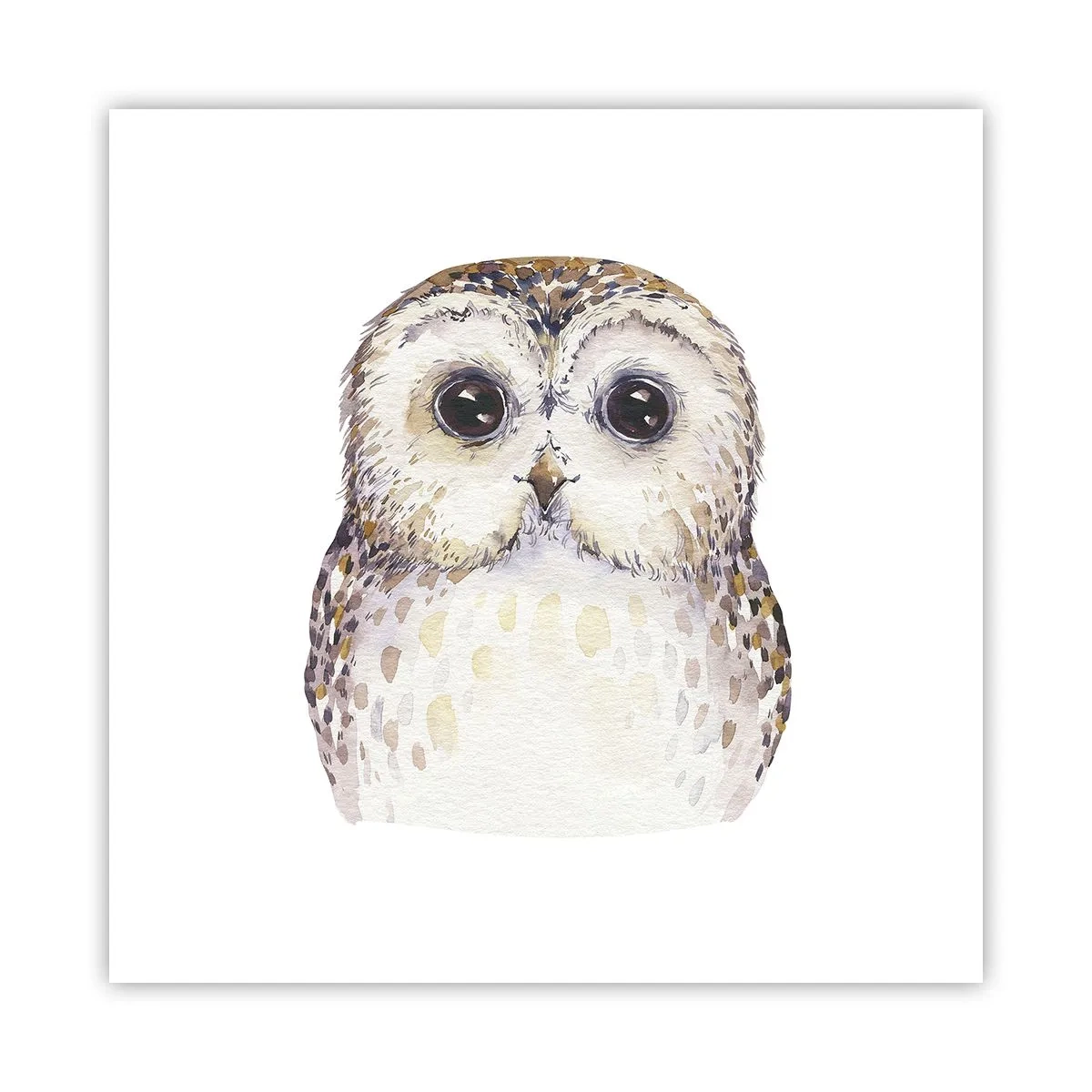 Póster - Mírame a los ojos - 50x50 cm