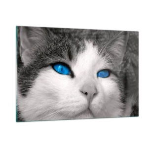 Cuadro sobre vidrio - Impresiones sobre Vidrio - Una fotografía en blanco y negro de un gato con ojos azules intensos. - 120x80cm - Inusual de ojos azules - Decoración de pared moderna para salón y dormitorio ARTTOR