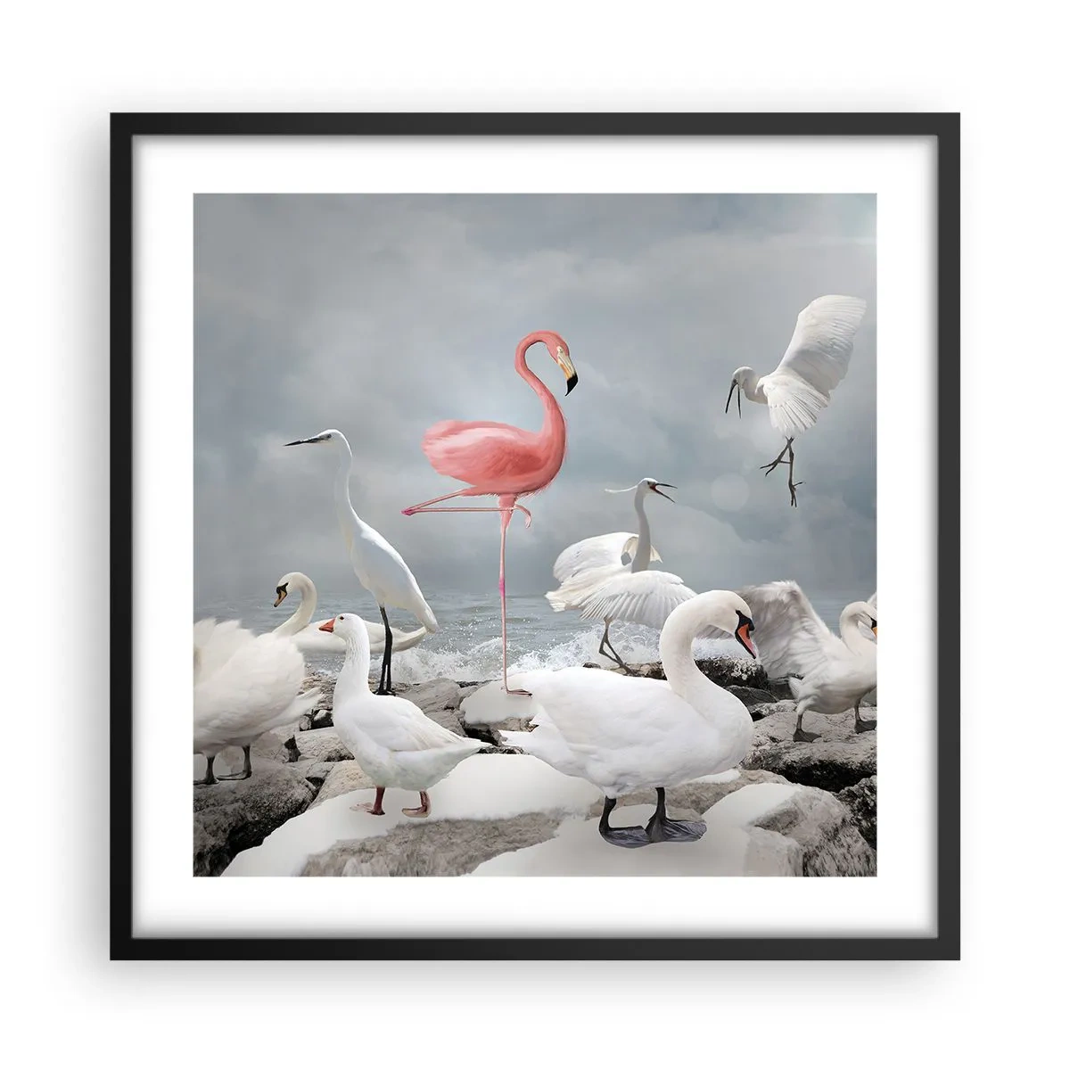 Póster en marco negro - ¿De dónde vengo? - 50x50 cm