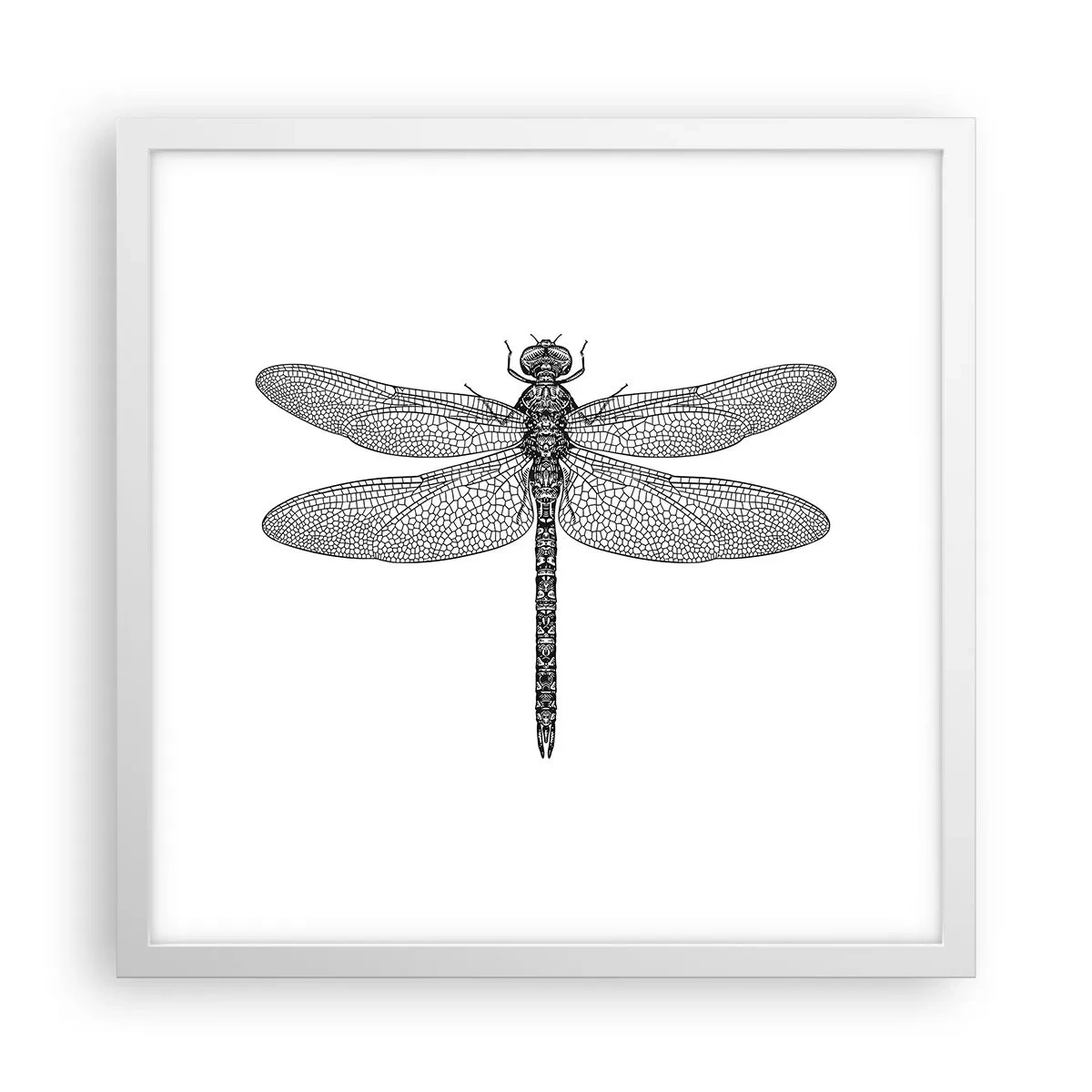 Póster en marco blanco - Precisión de la naturaleza - 40x40 cm