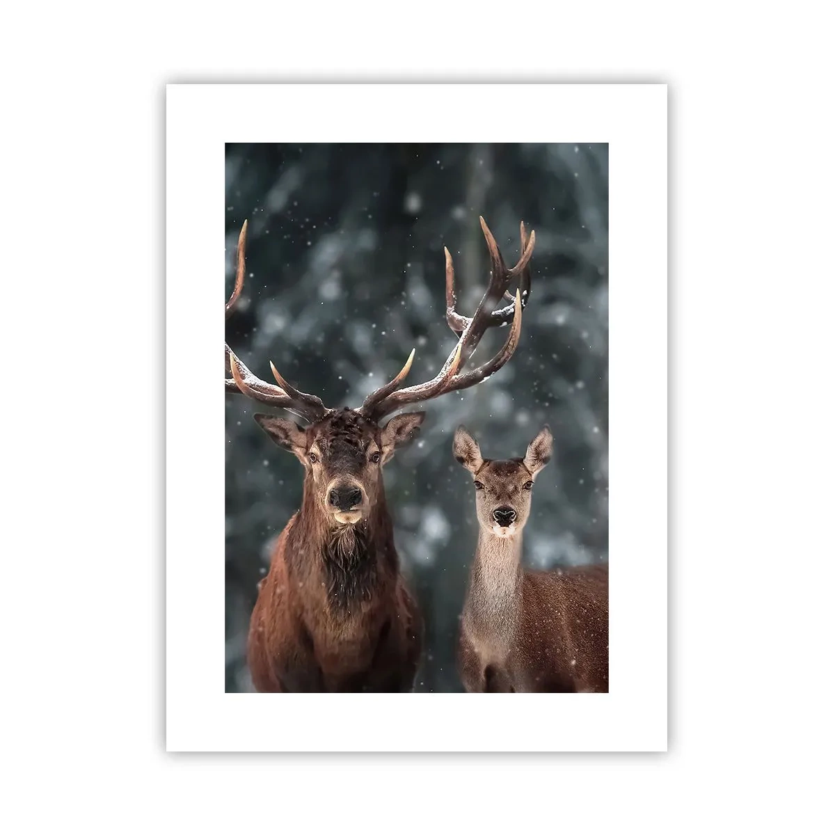 Póster - El señor y la señora del bosque - 30x40 cm