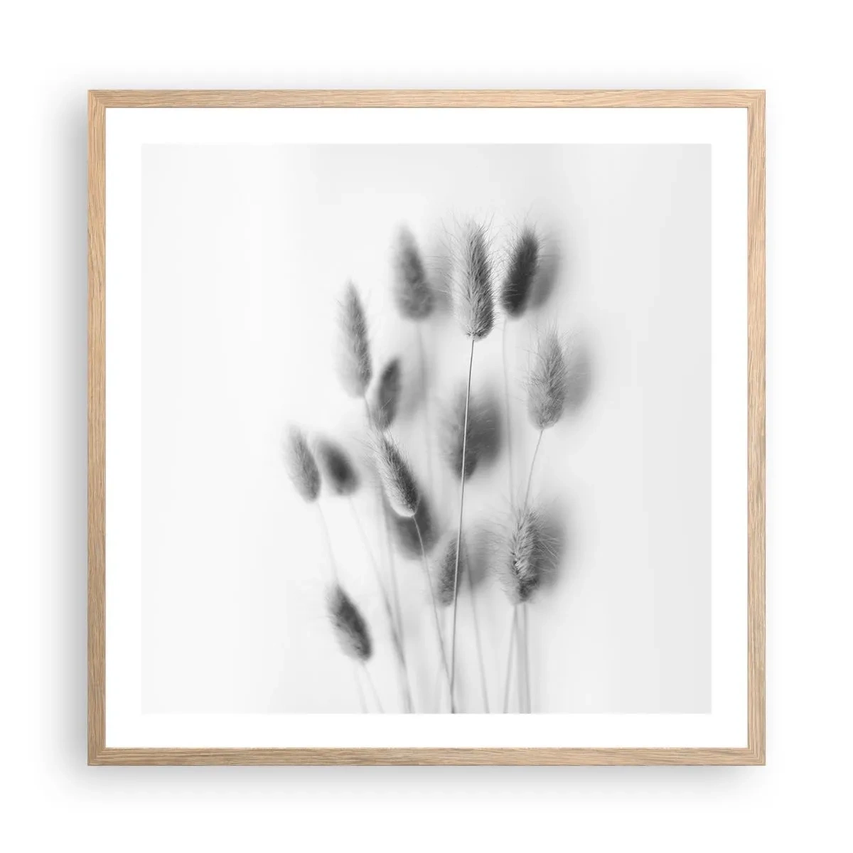 Póster en marco roble claro - Esponjas naturales - 60x60 cm