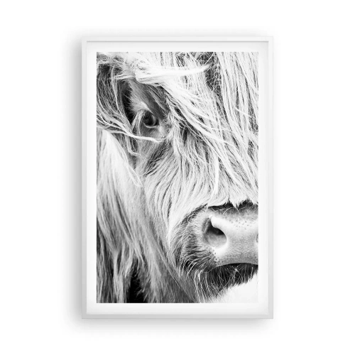 Póster en marco blanco - La naturaleza escocesa - 61x91 cm