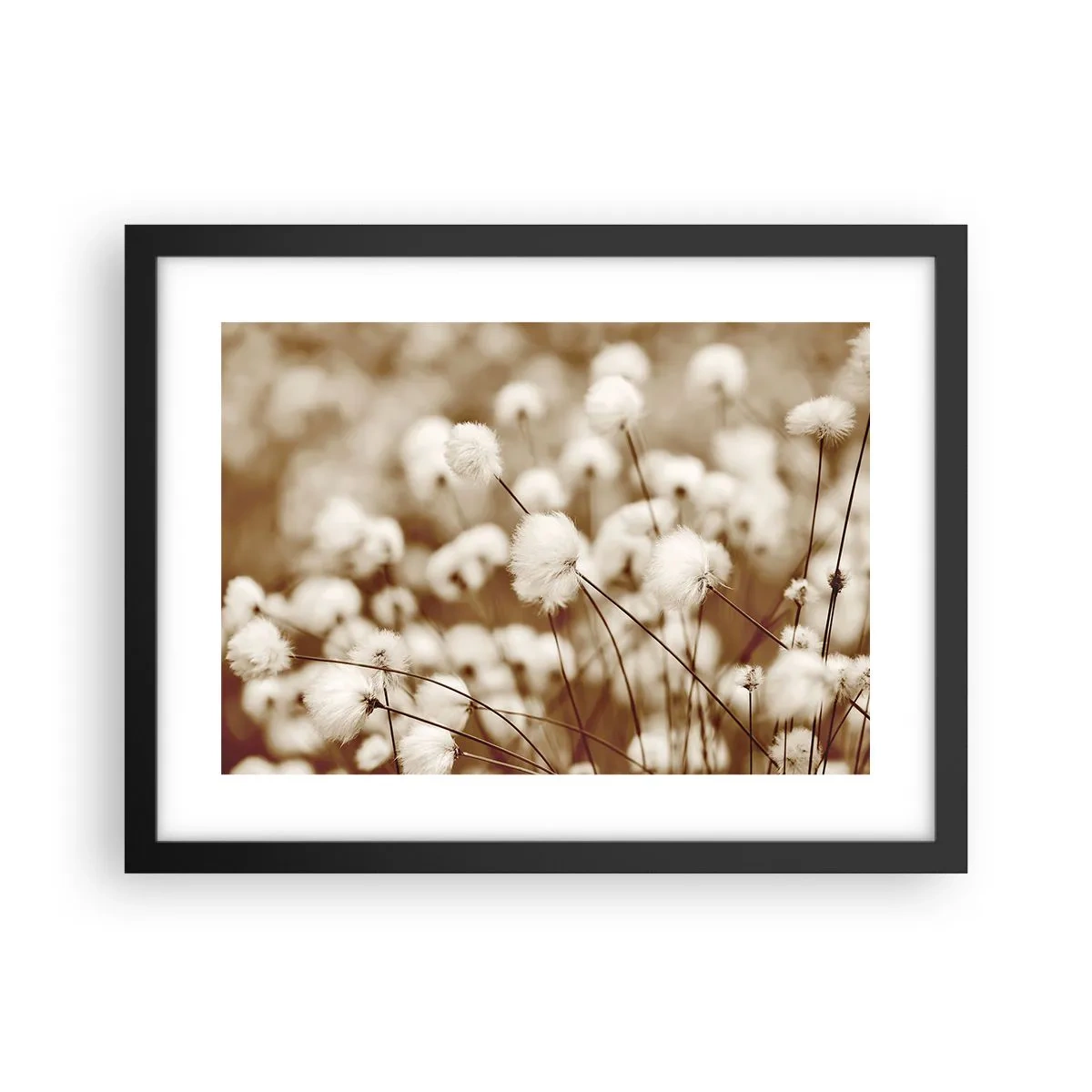 Póster en marco negro - Un mullido colchón - 40x30 cm