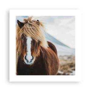 Póster - ¿Puedes sentir la libertad? - 40x40 cm