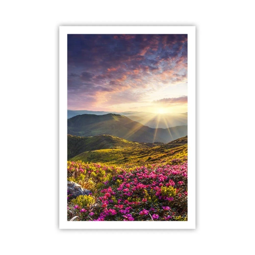 Póster - La frescura de una mañana de montaña - 61x91 cm
