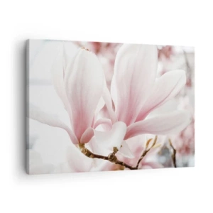 Cuadro sobre lienzo - Impresión de Imagen - Delicadas flores de magnolia en tonos pastel. - 70x50cm - Inmensidad de la ternura - Decoración de pared moderna para salón y dormitorio ARTTOR