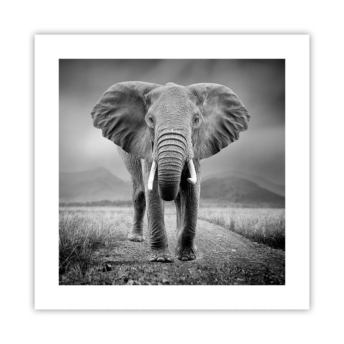 Póster - El anfitrión da la bienvenida - 40x40 cm