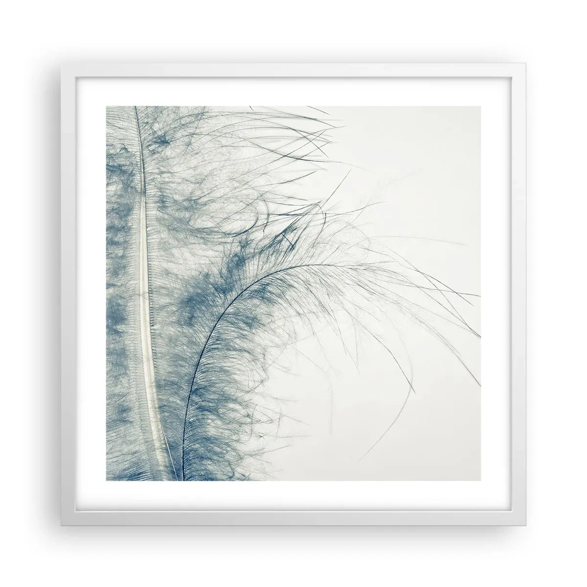 Póster en marco blanco - Susurro de la naturaleza - 50x50 cm