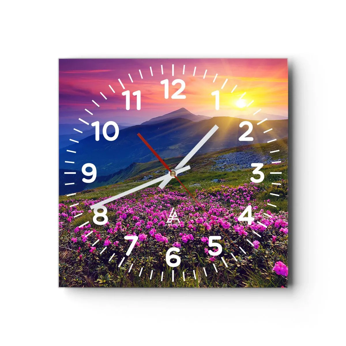 Reloj de pared - Reloj de vidrio - ... Y el aroma a hierbas está por todas partes - 30x30 cm